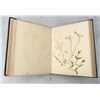 Image 19 : Victorian Botanist Herbarium Specimen Book