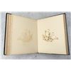 Image 23 : Victorian Botanist Herbarium Specimen Book