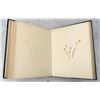 Image 26 : Victorian Botanist Herbarium Specimen Book
