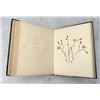 Image 27 : Victorian Botanist Herbarium Specimen Book