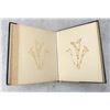 Image 28 : Victorian Botanist Herbarium Specimen Book