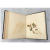 Image 29 : Victorian Botanist Herbarium Specimen Book