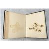 Image 31 : Victorian Botanist Herbarium Specimen Book