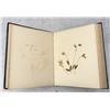 Image 7 : Victorian Botanist Herbarium Specimen Book