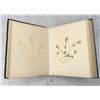 Image 8 : Victorian Botanist Herbarium Specimen Book