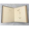 Image 9 : Victorian Botanist Herbarium Specimen Book