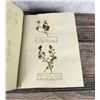 Image 13 : Victorian Botanist Herbarium Specimen Book
