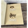 Image 14 : Victorian Botanist Herbarium Specimen Book
