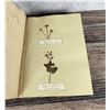 Image 15 : Victorian Botanist Herbarium Specimen Book