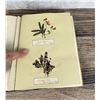 Image 20 : Victorian Botanist Herbarium Specimen Book