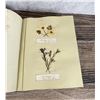 Image 22 : Victorian Botanist Herbarium Specimen Book