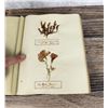 Image 26 : Victorian Botanist Herbarium Specimen Book