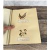 Image 32 : Victorian Botanist Herbarium Specimen Book