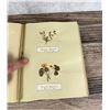Image 33 : Victorian Botanist Herbarium Specimen Book