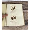 Image 34 : Victorian Botanist Herbarium Specimen Book