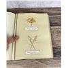 Image 35 : Victorian Botanist Herbarium Specimen Book