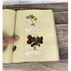 Image 36 : Victorian Botanist Herbarium Specimen Book