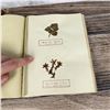 Image 39 : Victorian Botanist Herbarium Specimen Book