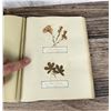 Image 44 : Victorian Botanist Herbarium Specimen Book