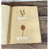 Image 45 : Victorian Botanist Herbarium Specimen Book
