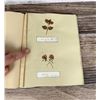 Image 51 : Victorian Botanist Herbarium Specimen Book
