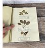 Image 57 : Victorian Botanist Herbarium Specimen Book