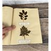 Image 60 : Victorian Botanist Herbarium Specimen Book