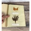 Image 61 : Victorian Botanist Herbarium Specimen Book