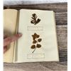 Image 64 : Victorian Botanist Herbarium Specimen Book