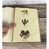 Image 65 : Victorian Botanist Herbarium Specimen Book