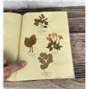 Image 66 : Victorian Botanist Herbarium Specimen Book