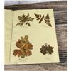 Image 70 : Victorian Botanist Herbarium Specimen Book