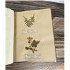 Image 9 : Victorian Botanist Herbarium Specimen Book