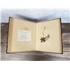 Image 14 : Victorian Botanist Herbarium Specimen Book