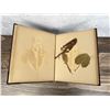 Image 4 : Victorian Botanist Herbarium Specimen Book