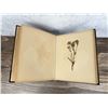 Image 6 : Victorian Botanist Herbarium Specimen Book