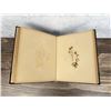 Image 7 : Victorian Botanist Herbarium Specimen Book
