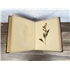 Image 9 : Victorian Botanist Herbarium Specimen Book