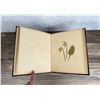 Image 10 : Victorian Botanist Herbarium Specimen Book