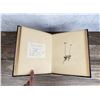 Image 11 : Victorian Botanist Herbarium Specimen Book
