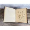 Image 5 : Victorian Botanist Herbarium Specimen Book