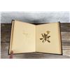 Image 8 : Victorian Botanist Herbarium Specimen Book