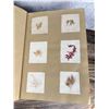 Image 10 : Victorian Botanist Algae Herbarium Specimen Book