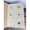 Image 11 : Victorian Botanist Algae Herbarium Specimen Book