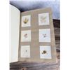 Image 12 : Victorian Botanist Algae Herbarium Specimen Book