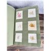 Image 15 : Victorian Botanist Algae Herbarium Specimen Book