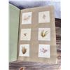 Image 16 : Victorian Botanist Algae Herbarium Specimen Book