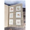 Image 17 : Victorian Botanist Algae Herbarium Specimen Book