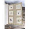 Image 25 : Victorian Botanist Algae Herbarium Specimen Book