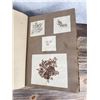 Image 26 : Victorian Botanist Algae Herbarium Specimen Book